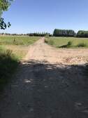 335585