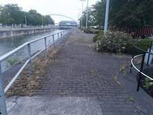 335982