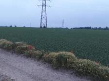 336010