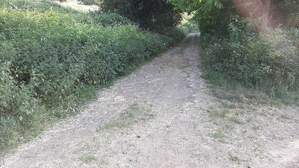 336059