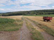 336741