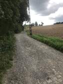 337428