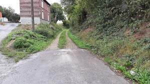 337597