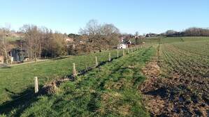 337635