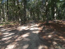 337804
