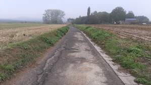 338029