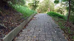 338338