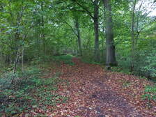 338631