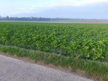 338662