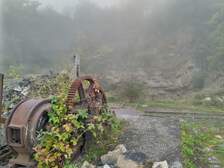 338701