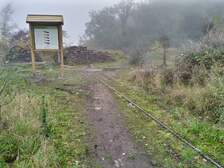 338709