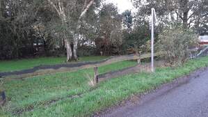 339049