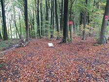 339110