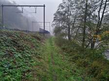 339423