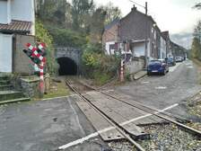 339704