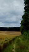 340565