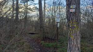340831