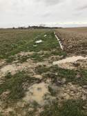 341386