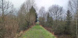 341900