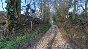 343431