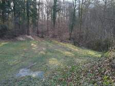 344218