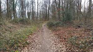344416