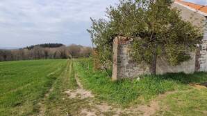 344817