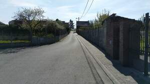 345005
