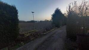 346462