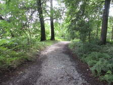 347783