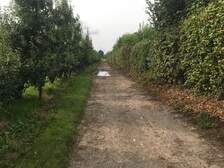 348434