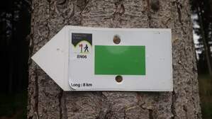 349118