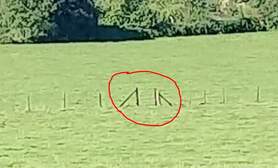 349836