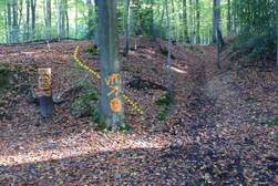 350455