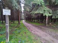 350878