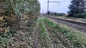 350954