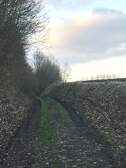 352265