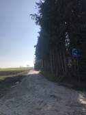 353549