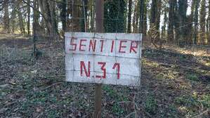 353732