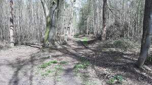 354373