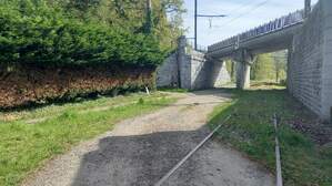 354619