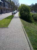 354854