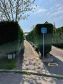 354930