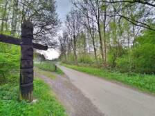 354941