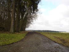 35510
