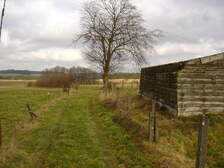 35546