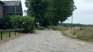 355778