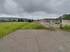 355904