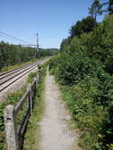 356438
