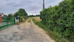 356745